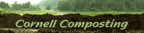 Composting In Schools